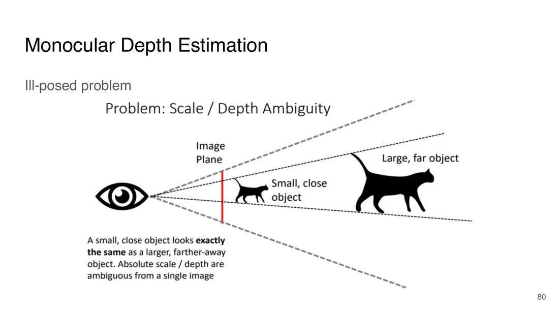 A small close cat and a large far cat project to the same image