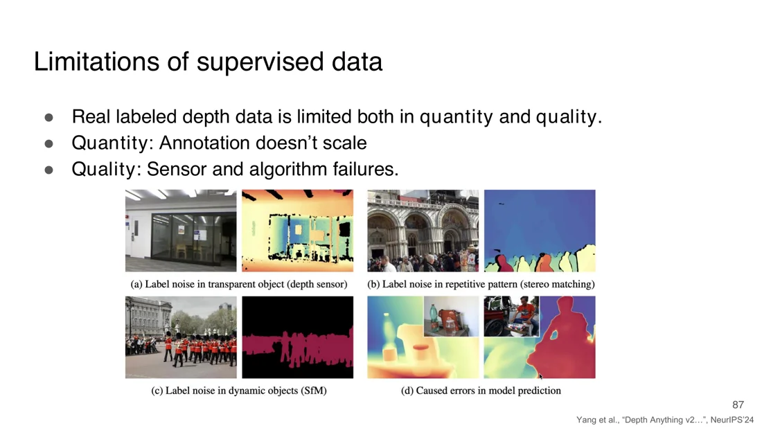 Label noise on transparent objects, repetitive patterns, dynamic objects and resulting model errors