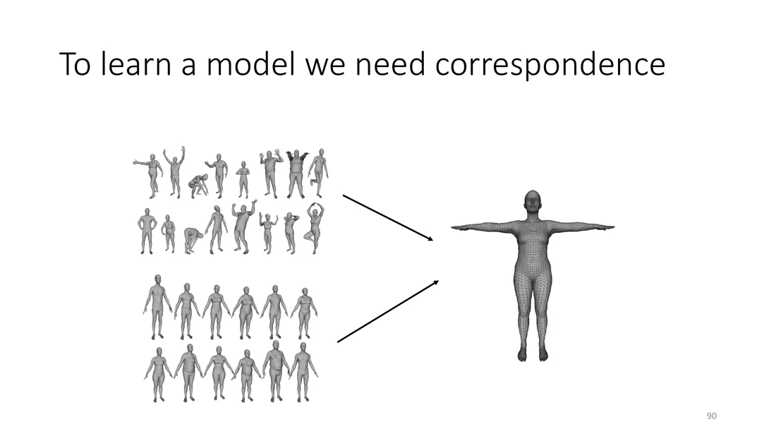 Many scans of people brought into correspondence with one template