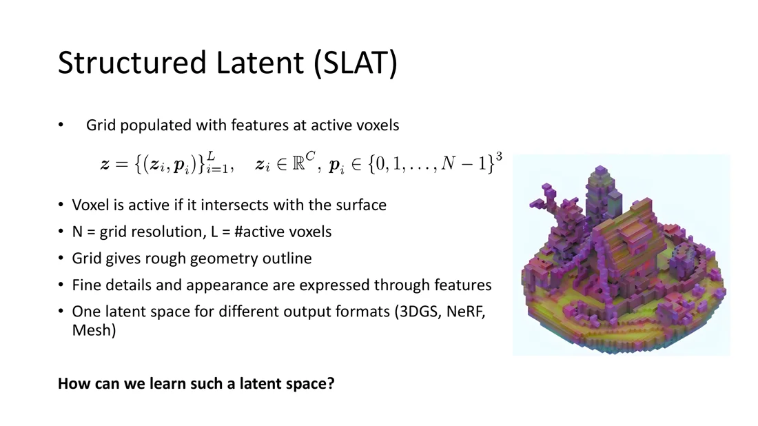 Structured latent: features at active voxels of a sparse grid