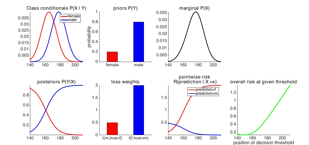 Prior 0.8 for male and loss 2 for predicting female when the person is male: the optimal threshold moves far to the left